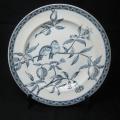 Ancienne grande assiette oiseaux branchés sur grenadier