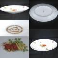 Plat plat limoges decor legumes 1